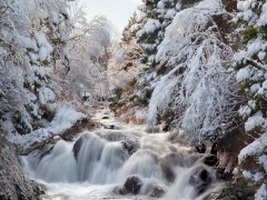 St. John's, Bowring Park winter